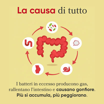 Regula+ Integratore Digestivo Naturale